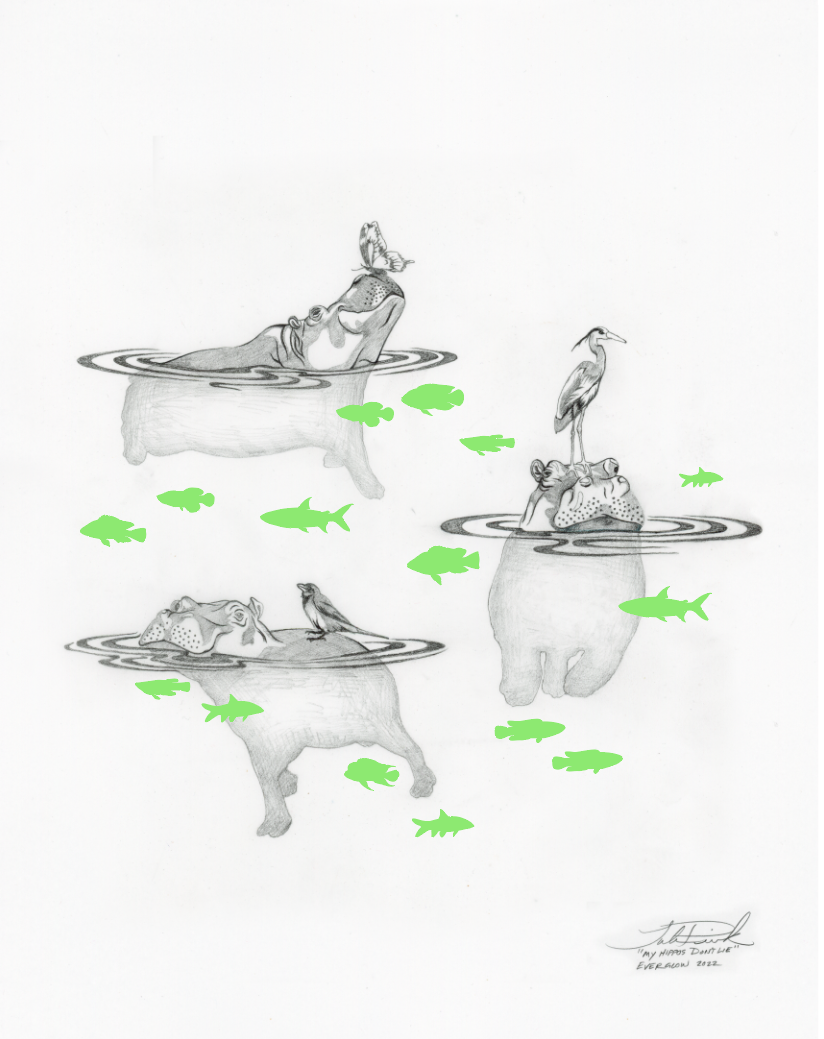 Everglow Art Print Collector Set (2023)